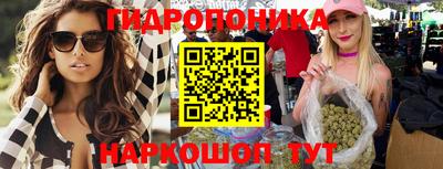 твердый Будённовск