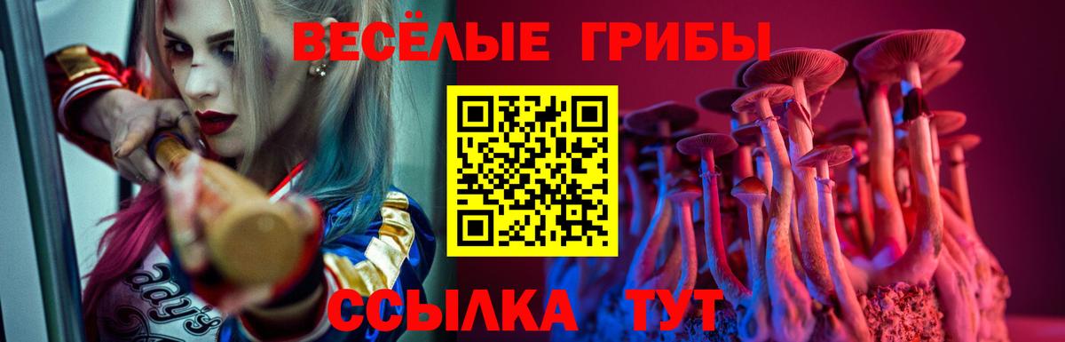 Сатка  Галлюциногенные грибы Psilocybe  Вход с VPN  Псилоцибиновые грибы MAGIC MUSHROOMS 